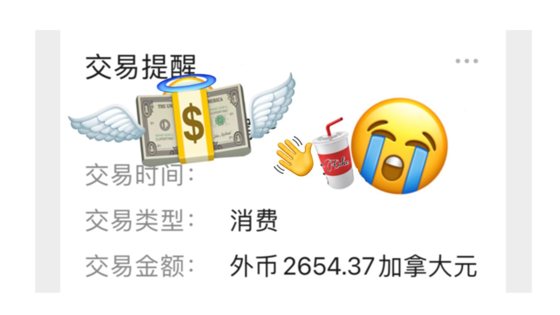 花14500块!在加拿大买了三瓶可乐...这辈子不想喝了哔哩哔哩bilibili