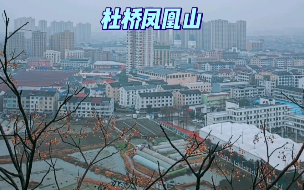 杜桥凤凰山雨中景