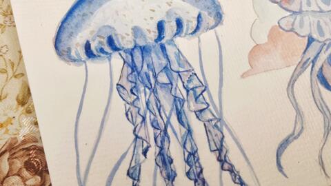 水彩 水彩海洋绘画 哔哩哔哩