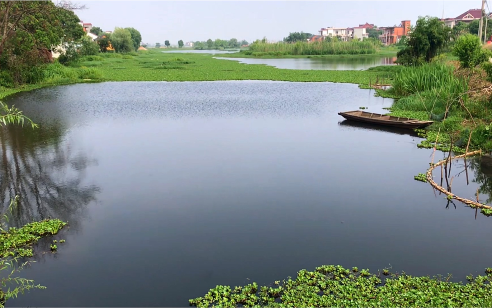 自然风光系列之无为市周家桥村景