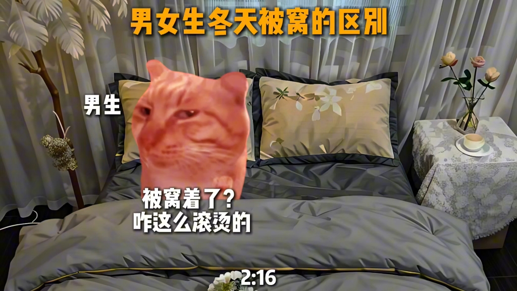 “男女生冬天被窝的区别”