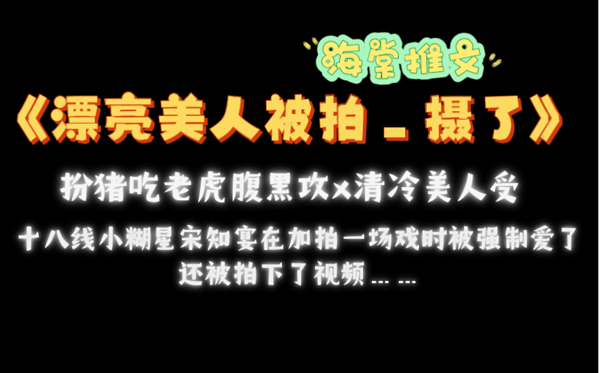 【海棠推文】《漂亮美人被拍摄了》 by风情万种txt全文哔哩哔哩bilibili