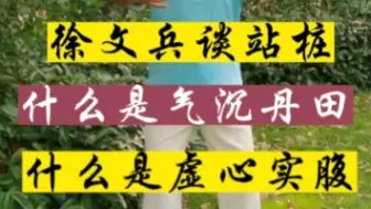 Video herunterladen: 徐文兵谈站桩什么是气沉丹田，什么是虚心实腹，你知道吗？#站桩 #居家锻炼 #站桩学习