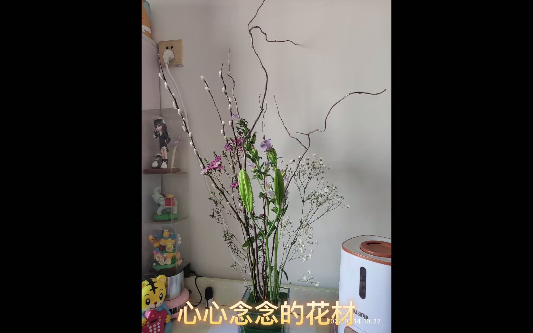 插花龙柳哔哩哔哩bilibili