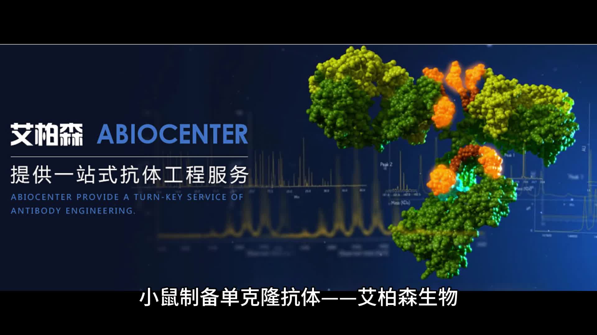 [图]小鼠制备单克隆抗体——艾柏森生物