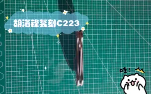 Download Video: 胡海锋复刻C223