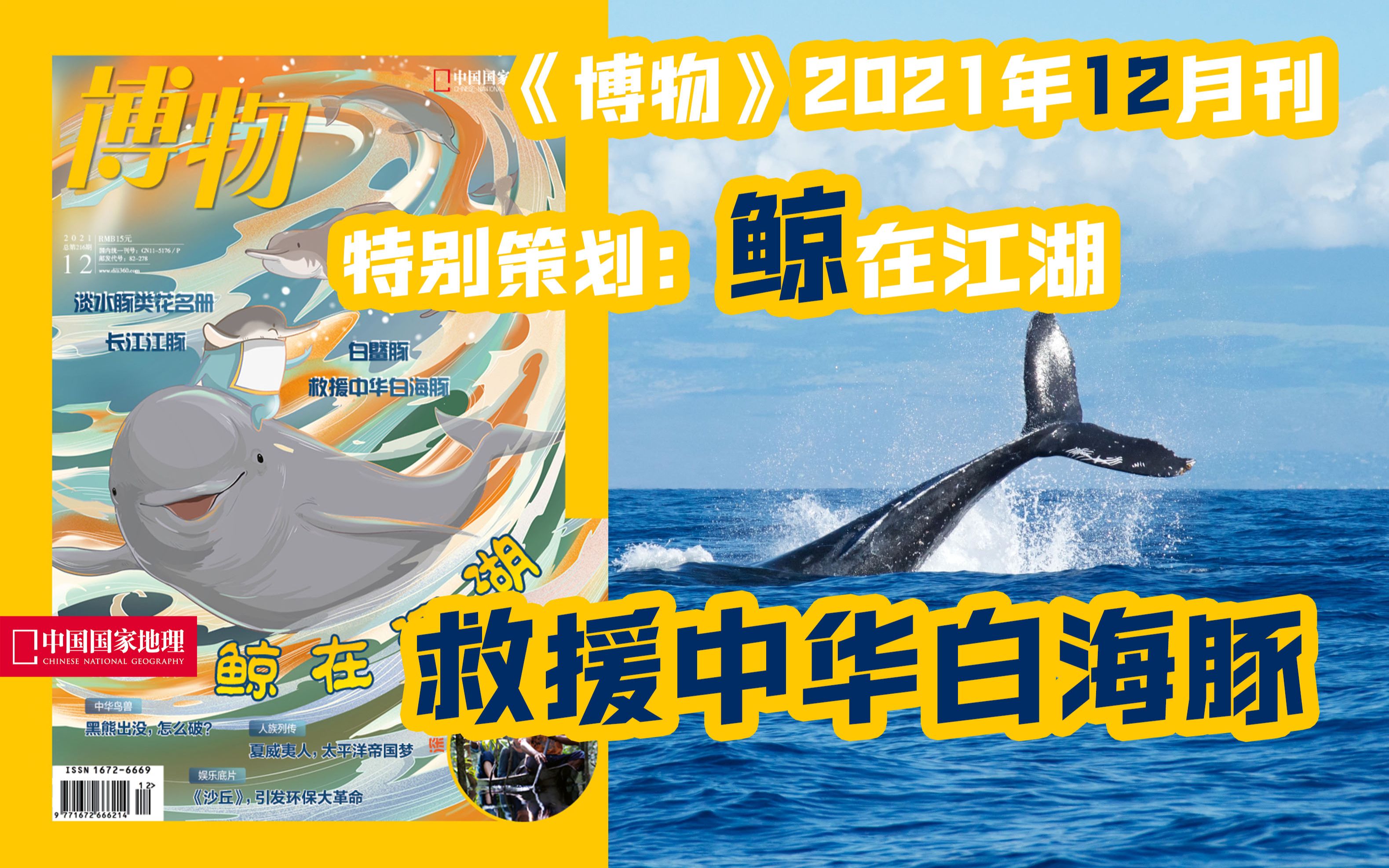 【新刊速递】博物202112期,带你了解江河湖泊中的多样鲸豚哔哩哔哩bilibili