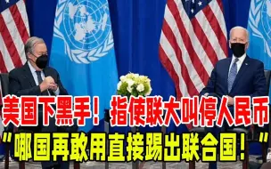 Download Video: 美国下黑手！指使联大叫停人民币！“哪国再敢用直接踢出联合国！”