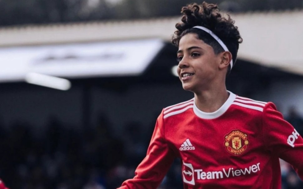 拥有祖传粉丝的迷你罗