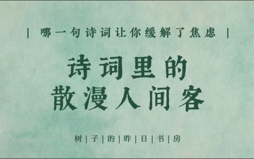 “逢人不说人间事,便是人间无事人”哪句诗词让你缓解了焦虑?哔哩哔哩bilibili