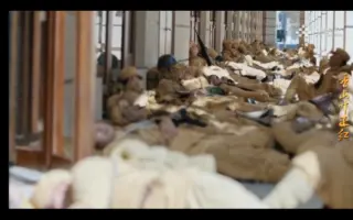 香山睡 搜索结果 哔哩哔哩 Bilibili 香山睡 搜索结果 哔哩哔哩 Bilibili