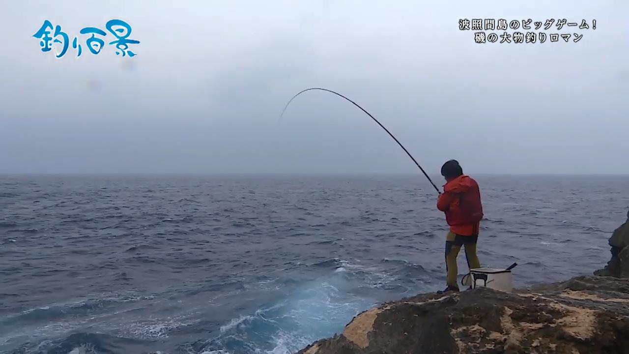 高桥哲也矶钓搏大物,这鱼竿弯曲弧度,看着带劲哔哩哔哩bilibili