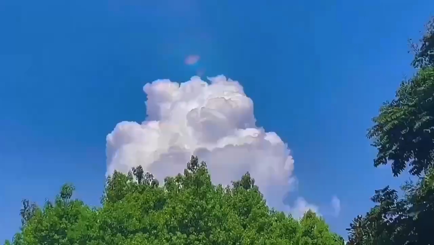 期盼温暖和阳光,做一个追光的人,自己也会身披光芒万丈