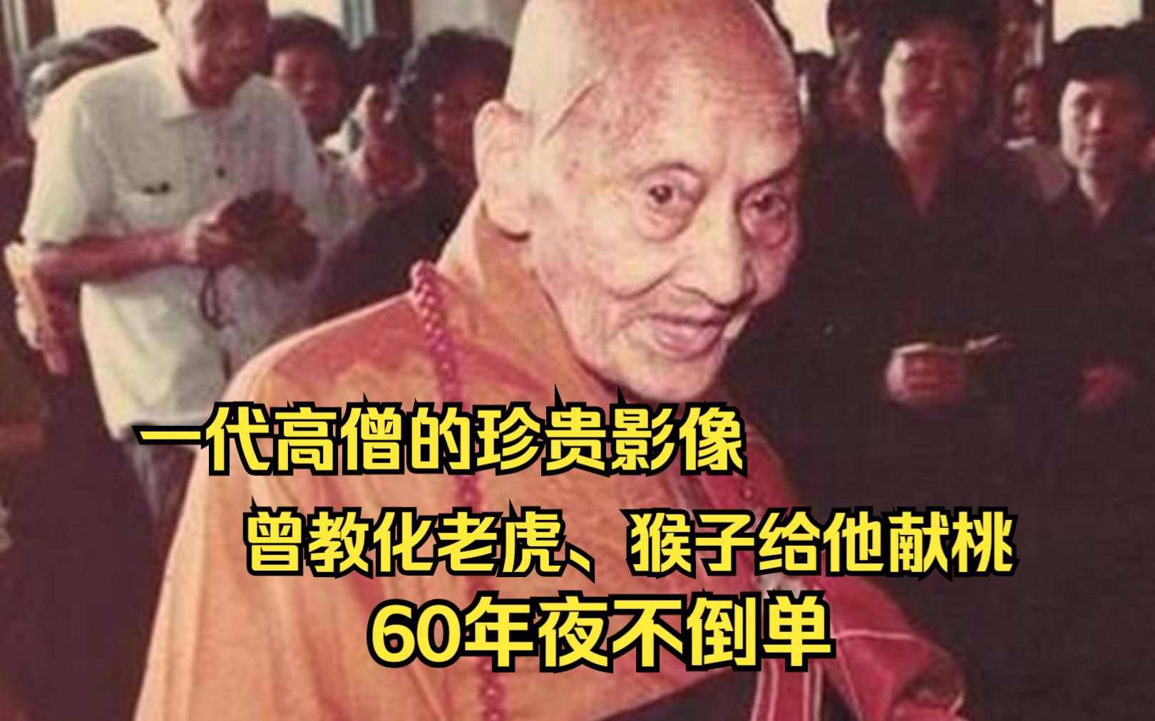 当代高僧60年夜不倒单,曾教化老虎,猴子给他献桃哔哩哔哩bilibili