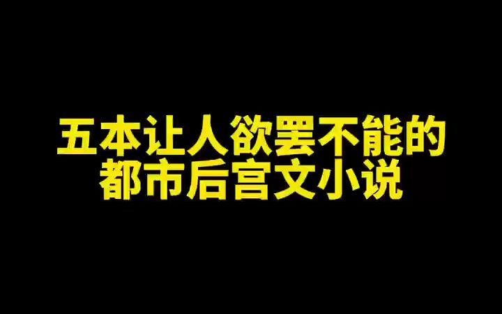 五本让人欲罢不能的都市后宫文小说哔哩哔哩bilibili