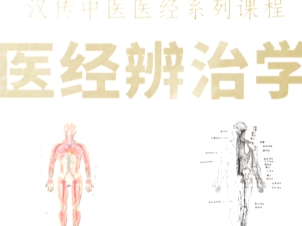 汉传中医刘志杰医学视频课
