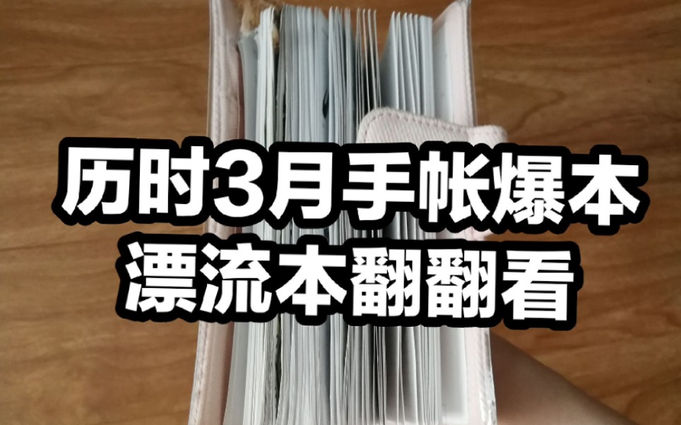 【翻翻看】历时3个月爆本的手帐漂流本哔哩哔哩bilibili