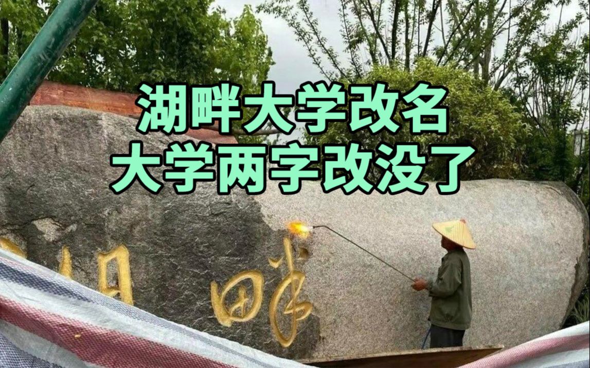 “去大学化”!湖畔大学回应改名:为避免造成误解哔哩哔哩bilibili