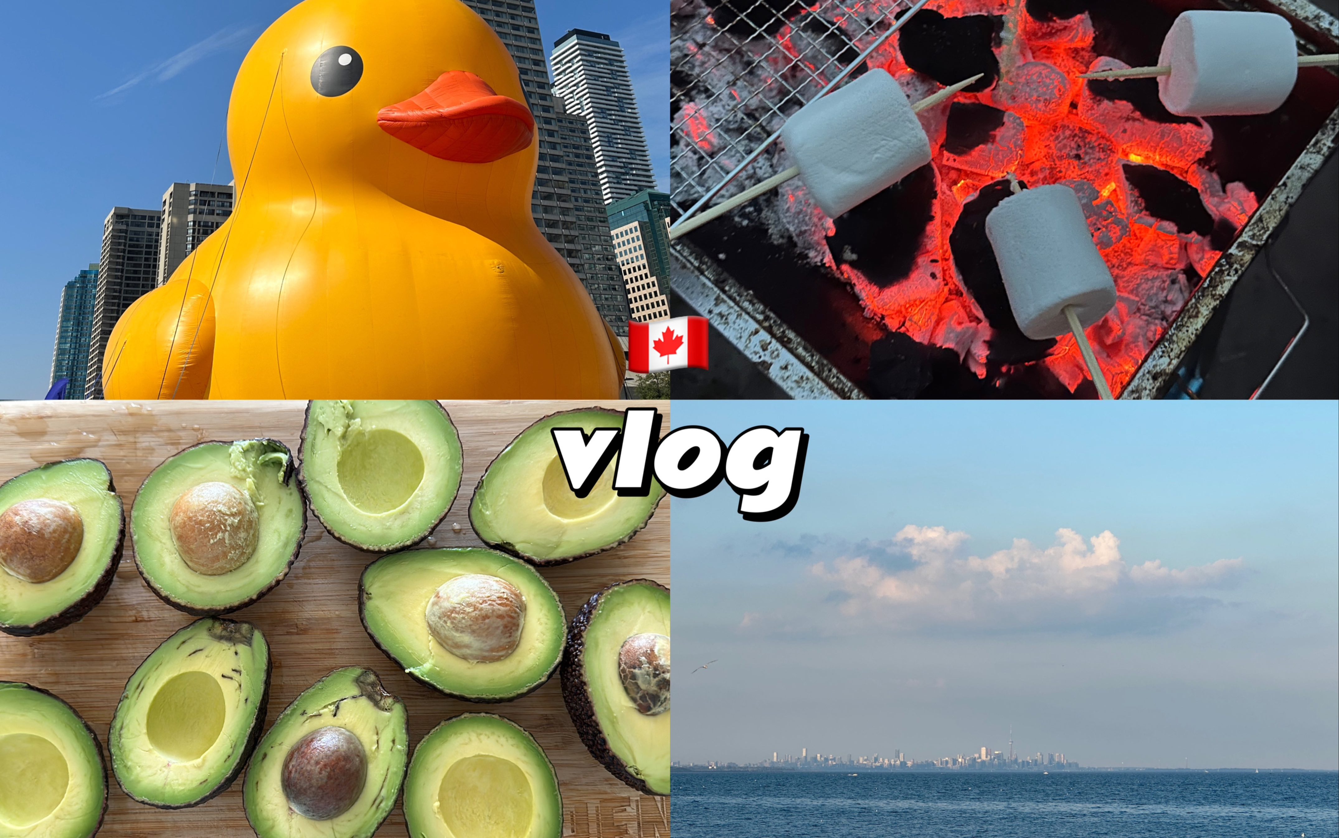 93vlog#27 安大略湖畔的烧烤派对09|大三开始了01|tgtg剩菜盲盒