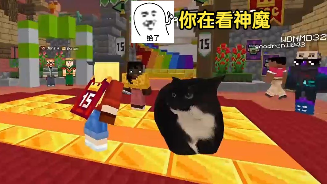 【我的世界基岩版】周年庆大厅惊现猫猫与熊大皮肤我的世界