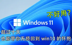 Download Video: 【重装】升级win11超过了10天后，win11回退到win10／win10重装win10的教程（萌新向）