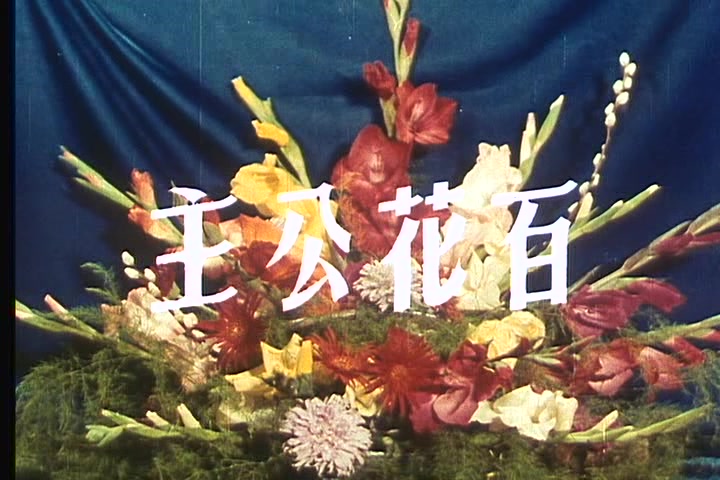 【电影】百花公主1959哔哩哔哩bilibili