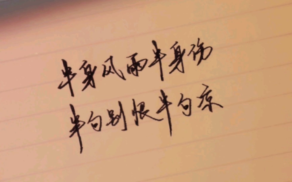 手写|半身风雨半身伤,半句别恨半句凉