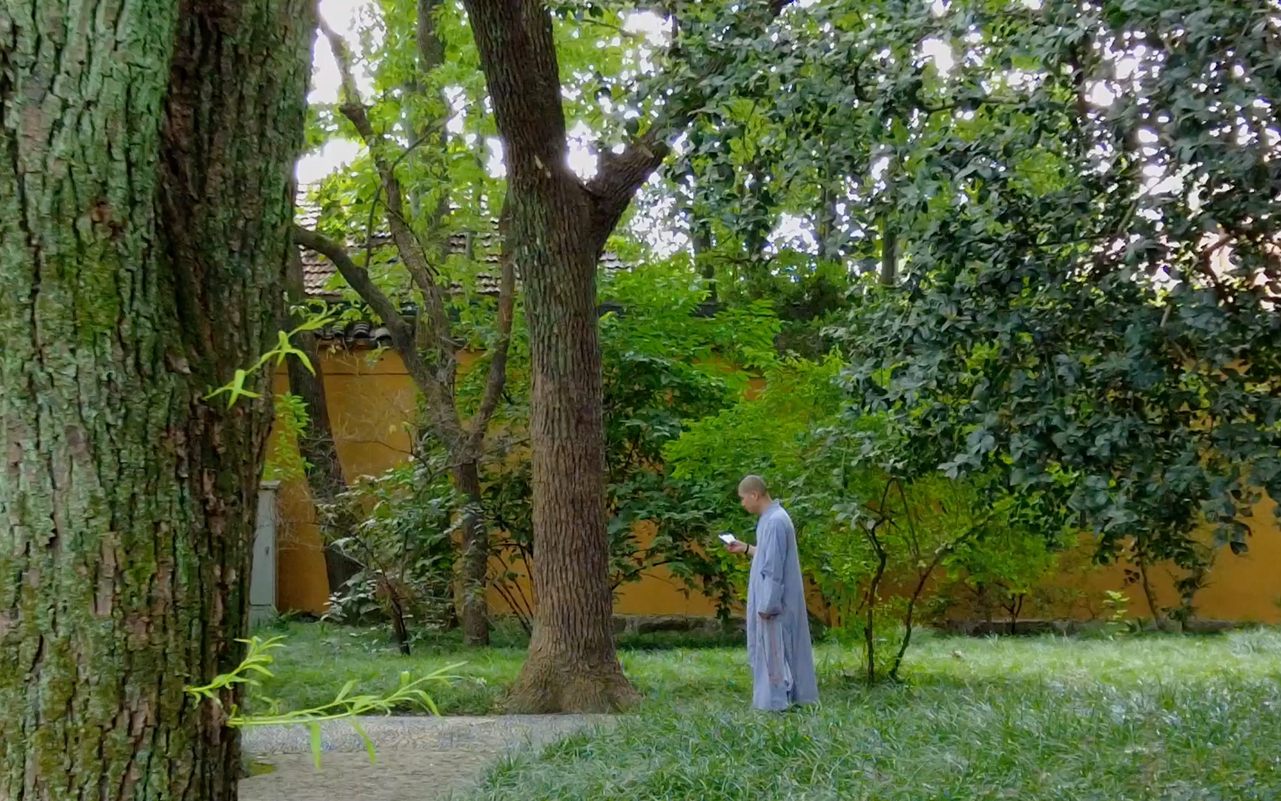 【佛寺】大德曰生,愿众生安康,愿风调雨顺,愿喜乐开怀哔哩哔哩bilibili