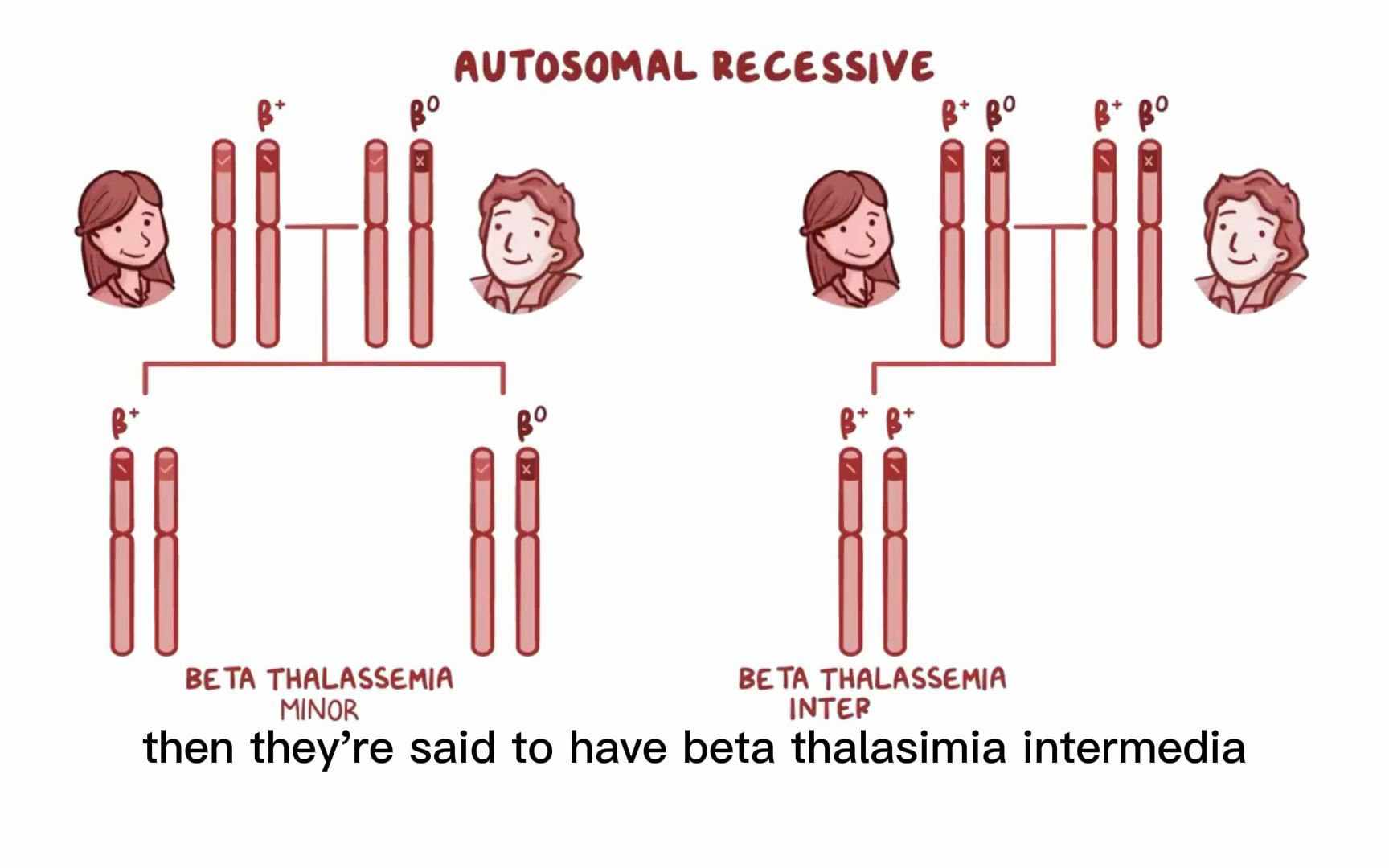 [图]β thalassemia β地中海贫血