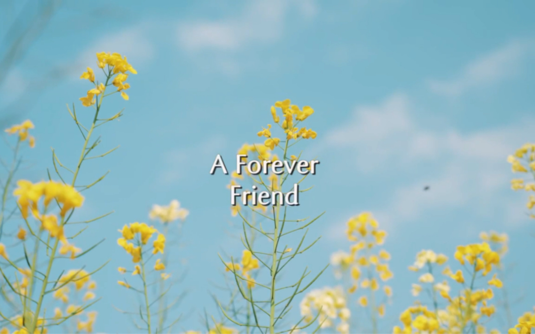 [图]A forever friend 英语朗读