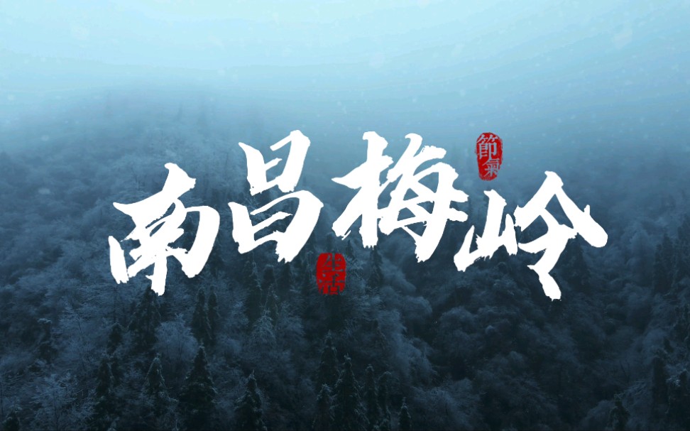 南昌梅岭雪景雾凇航拍