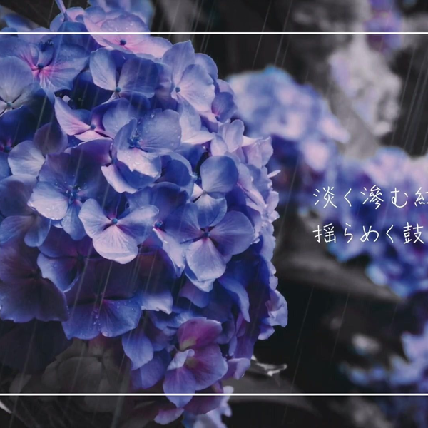 紫陽花 / Dis feat.初音ミク_哔哩哔哩_bilibili
