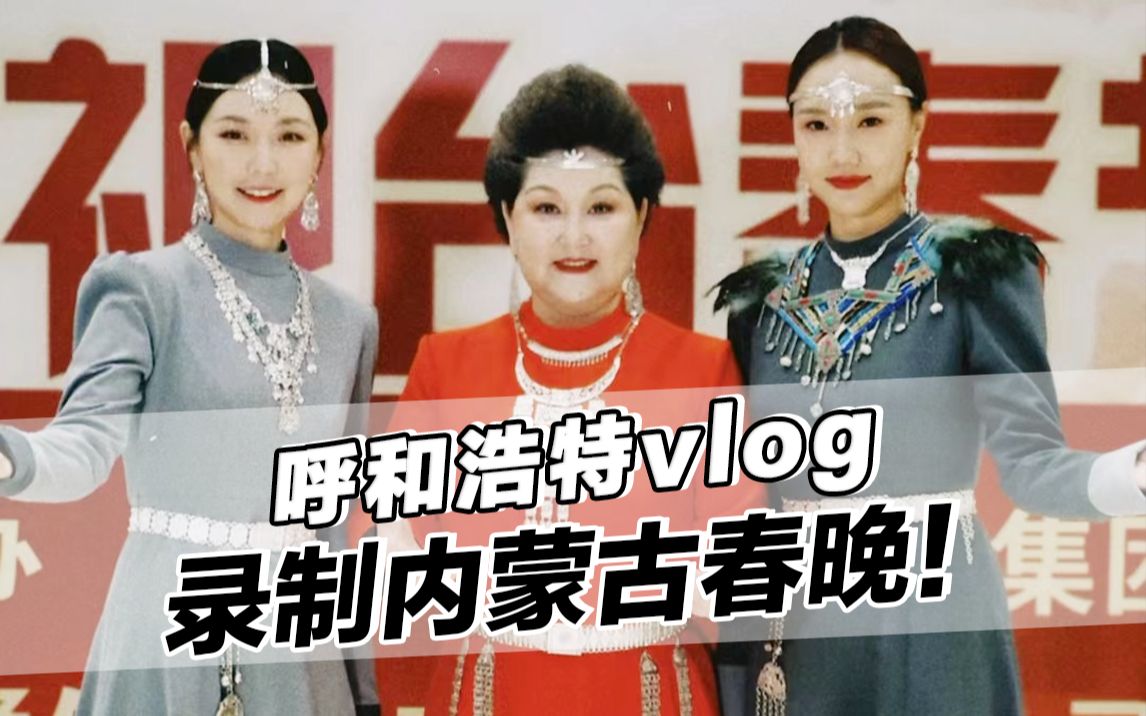 工作vlog丨内蒙春晚花絮!大家看到我们了吗!哔哩哔哩bilibili