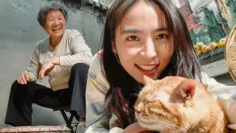《 抓 猫 往 事 》