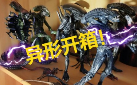 [图]等好久的异形终于到啦 ALIEN——异形 雄蜂 双S系开箱