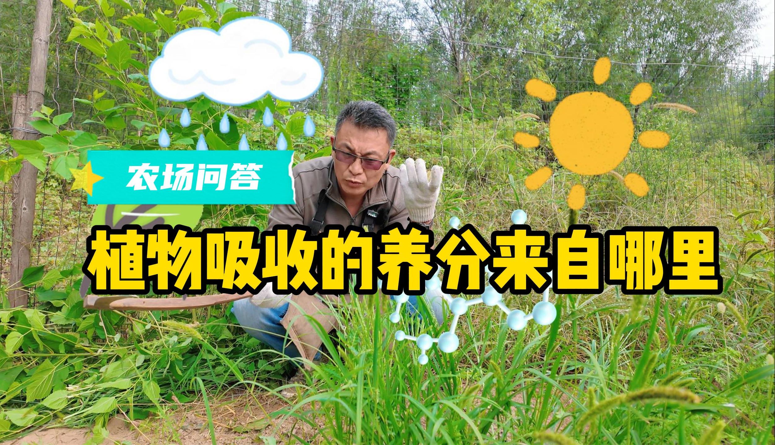 评论区回复:生态种植会让土地更贫瘠吗?哔哩哔哩bilibili