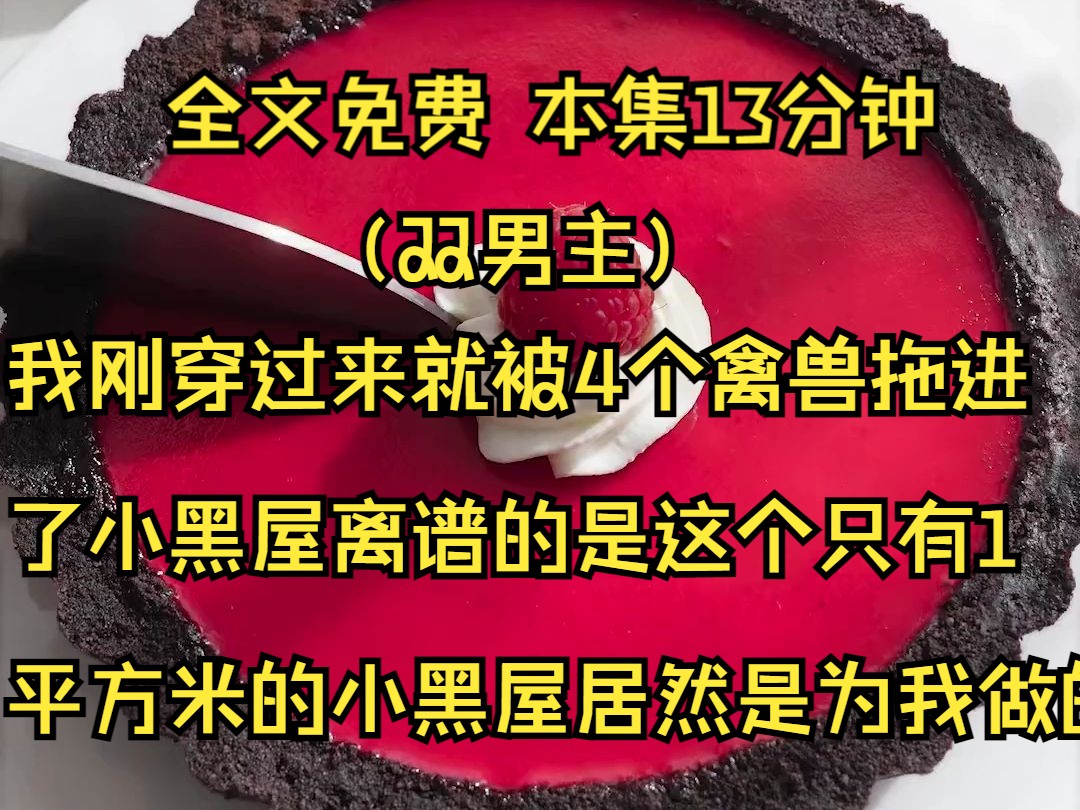 (双男主系列文)我刚穿过来,就被4个禽兽拖进了小黑屋.离谱的是这个只有1平方米的小黑屋居然是为我量身定做的.哔哩哔哩bilibili