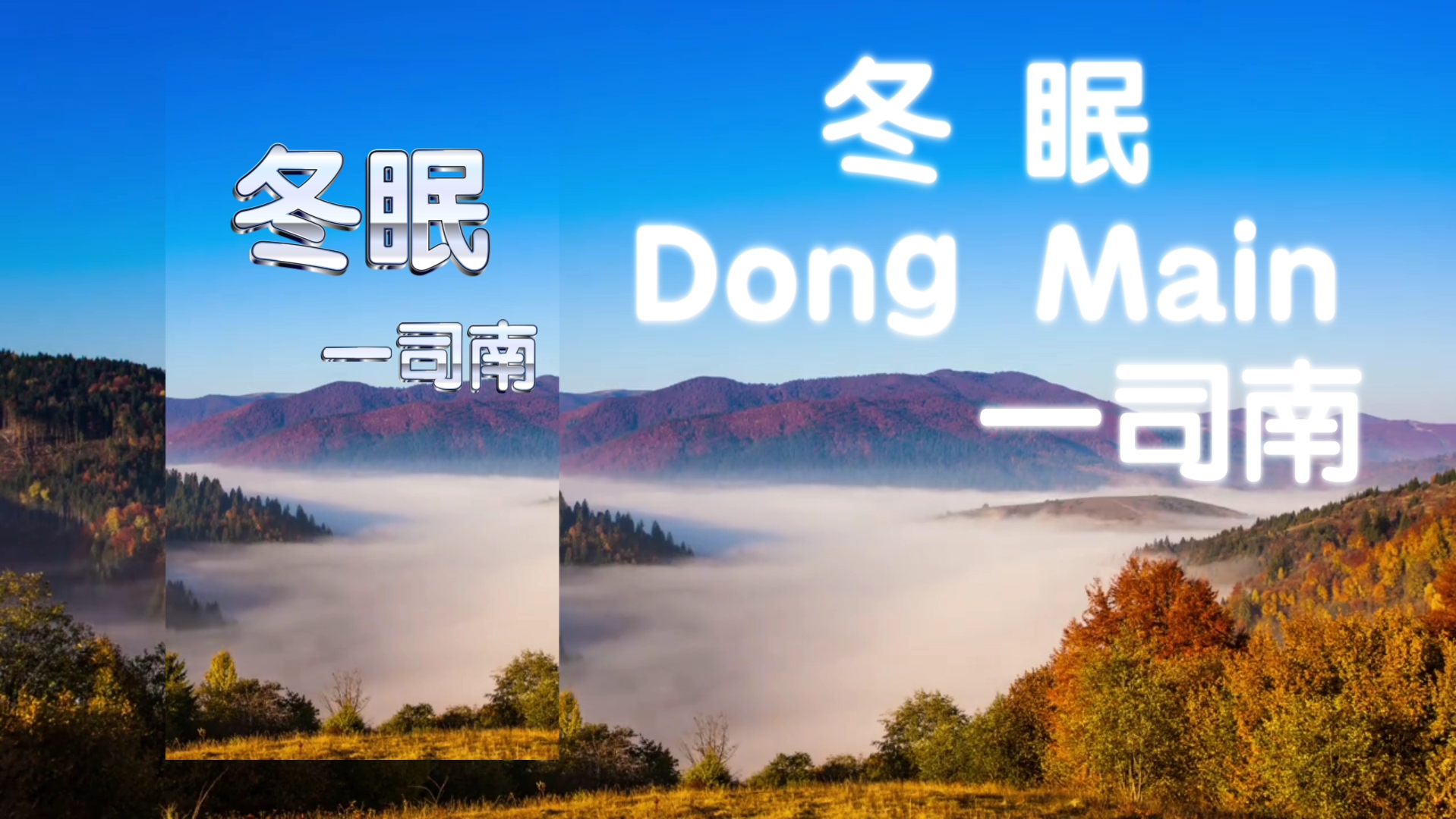 《音乐冬眠》作者:司南