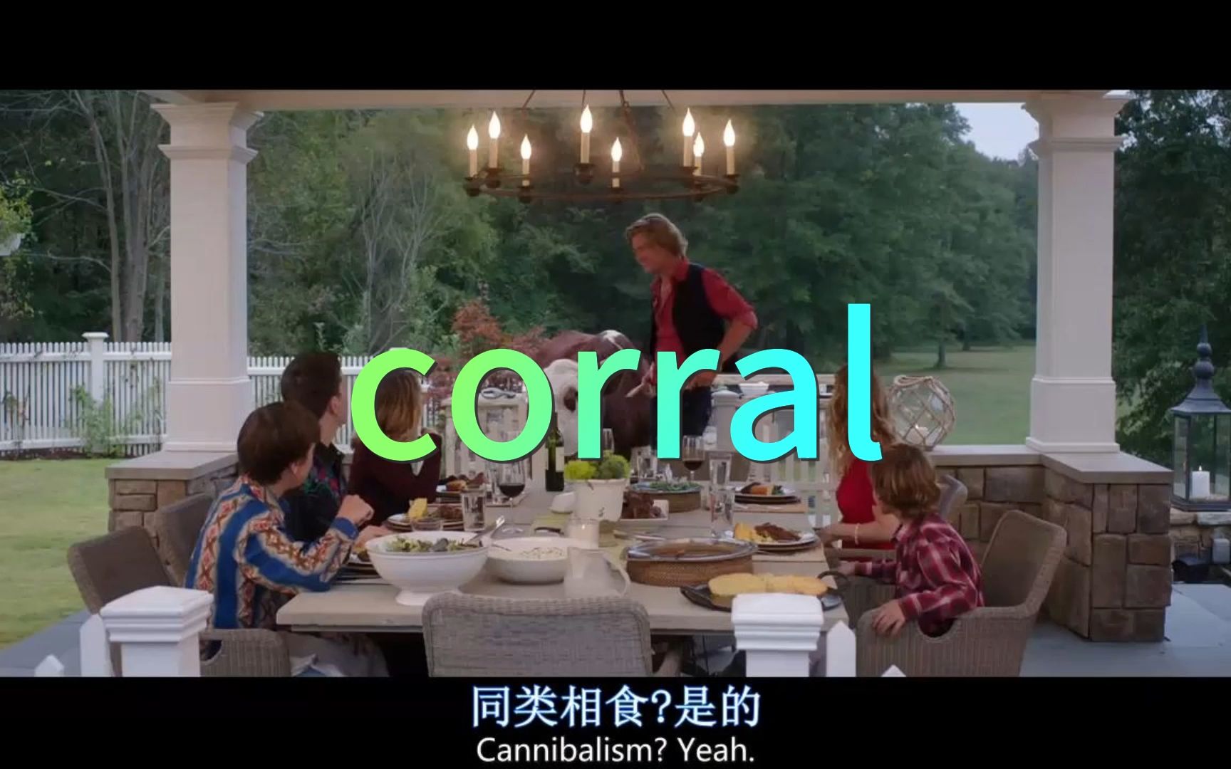 单词corral哔哩哔哩bilibili