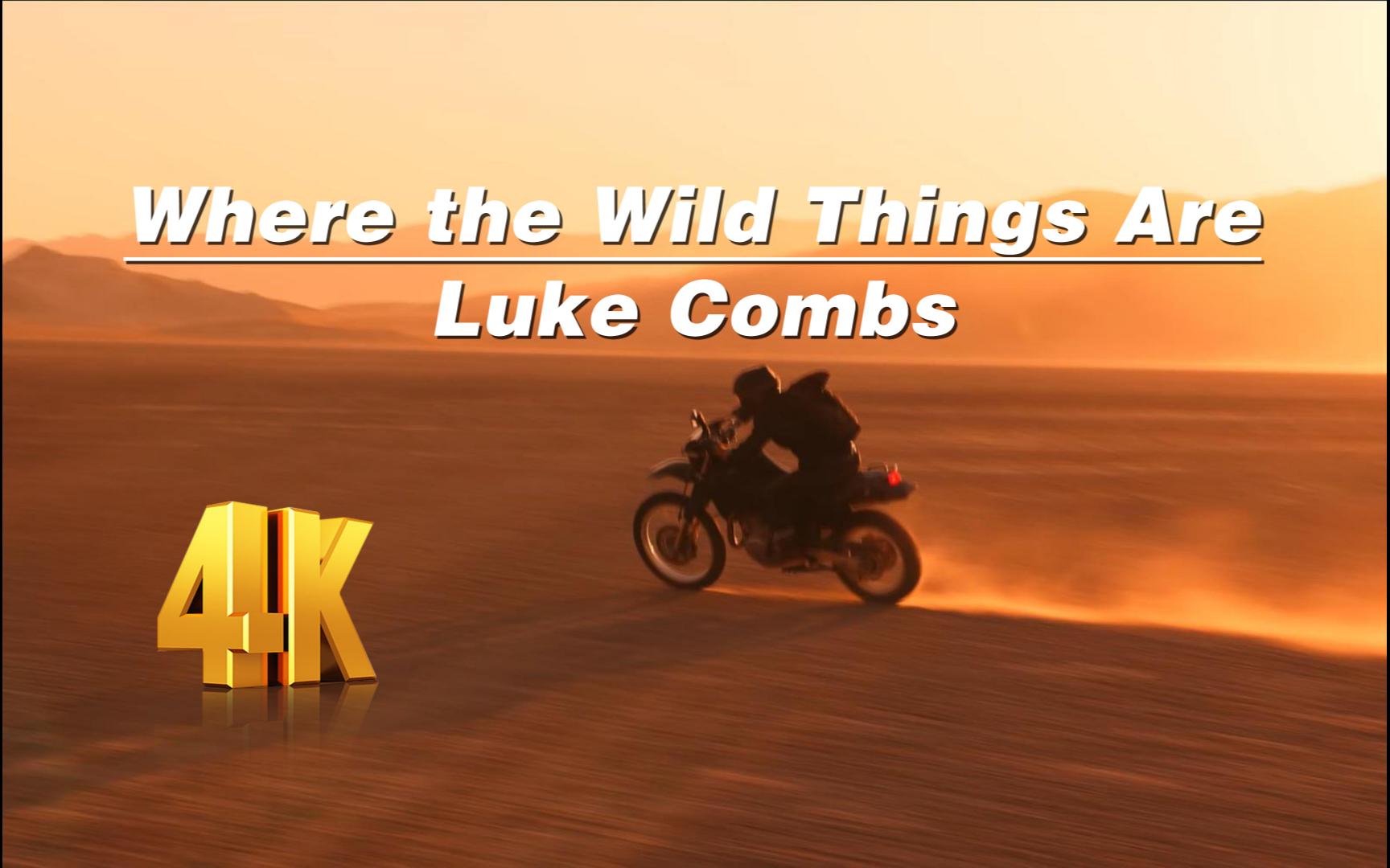 [图]好久没听到这么好听的歌曲了《Where the Wild Things Are》-Luke Combs