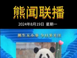 Download Video: 《熊闻联播》｜带你了解天下熊事，2024.8.19熊圈又发生了什么？（原视频素材来源网络）