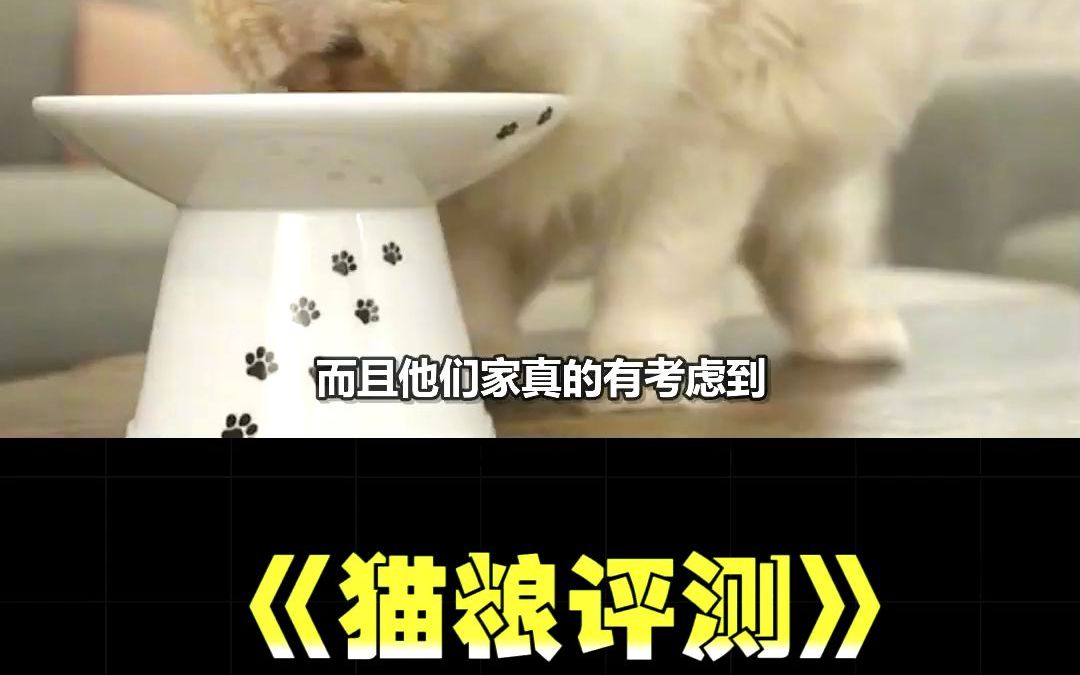 猫叔猫粮测评,诚实一口猫粮怎么样? #猫粮哔哩哔哩bilibili