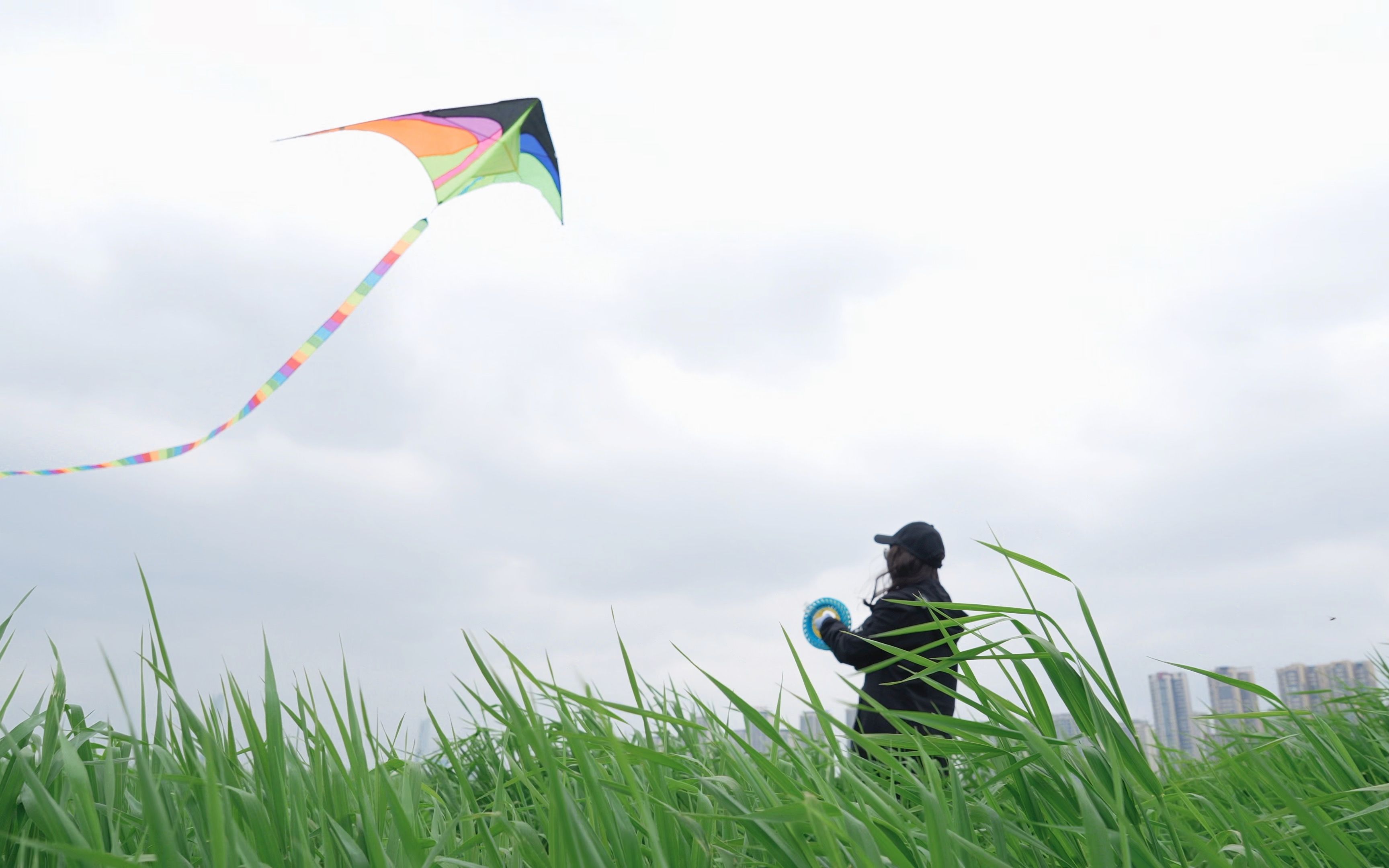 dmf19 |周末陪娃玩什么好呢?风和日丽,当然是放风筝呀