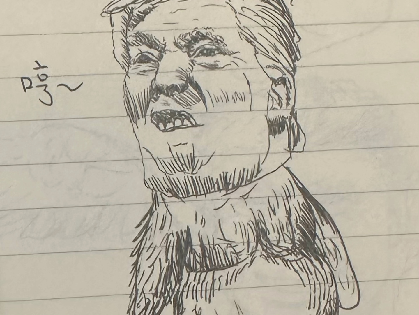 丑小鸭但是川普