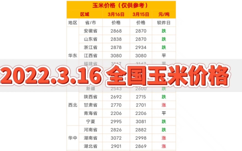 2022.3.16 今日最新全国玉米价格 玉米市场行情价格表哔哩哔哩bilibili