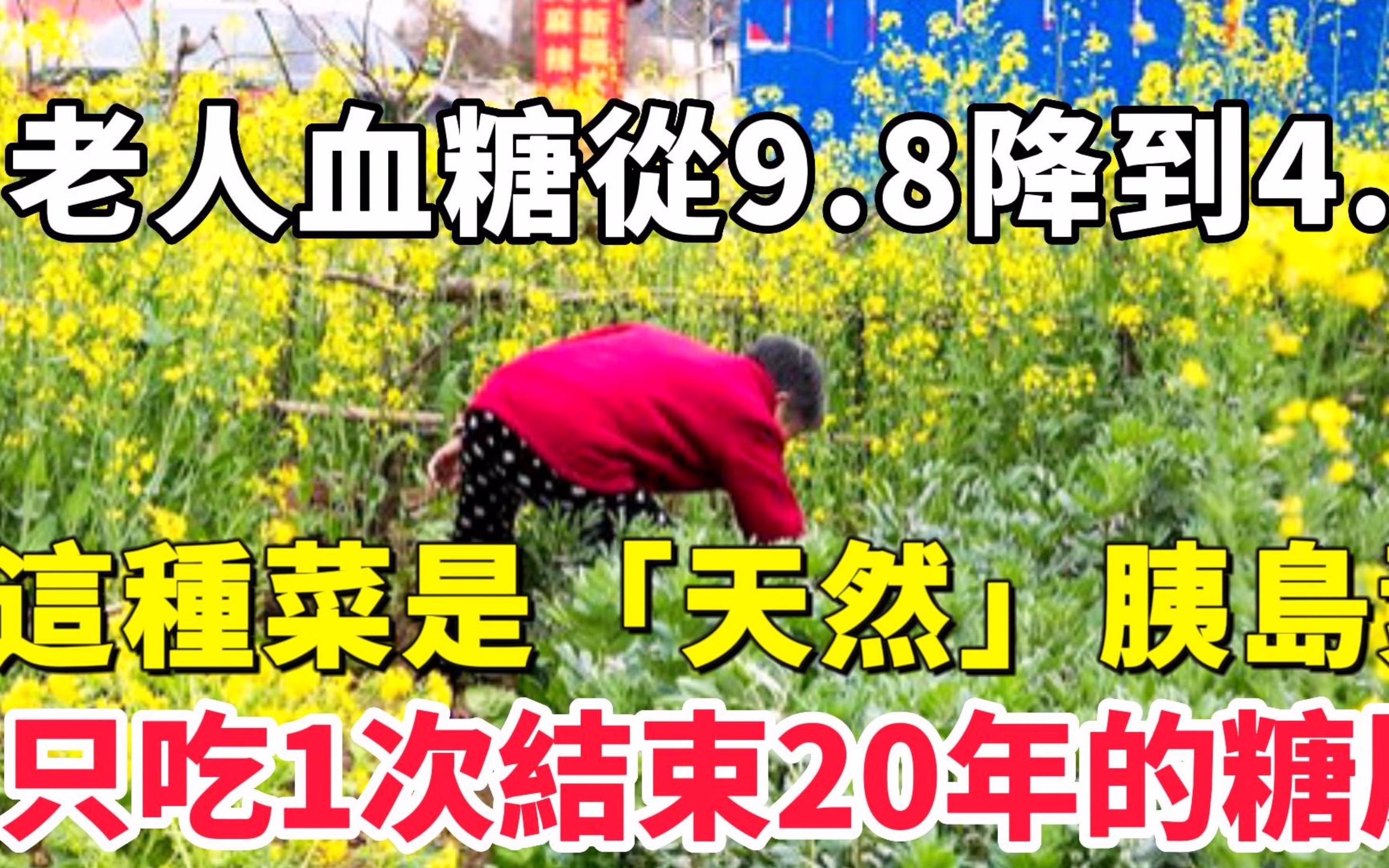 80岁老人血糖从9.8降到4.2!这种菜被医生称是“天然”胰岛素,只吃1次血糖立刻往下降,从此告别20年的糖尿哔哩哔哩bilibili