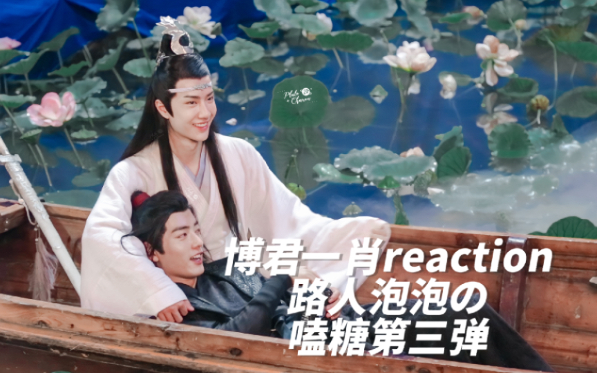 【博君一肖reaction】路人泡泡的嗑糖第三弹:“对不起,我变态,我往不好的地方想了”哔哩哔哩bilibili