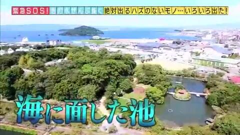 18 6 24緊急sos池の水ぜんぶ抜く大作戦 人間vs幻の巨大魚ワニ外来種 哔哩哔哩 Bilibili
