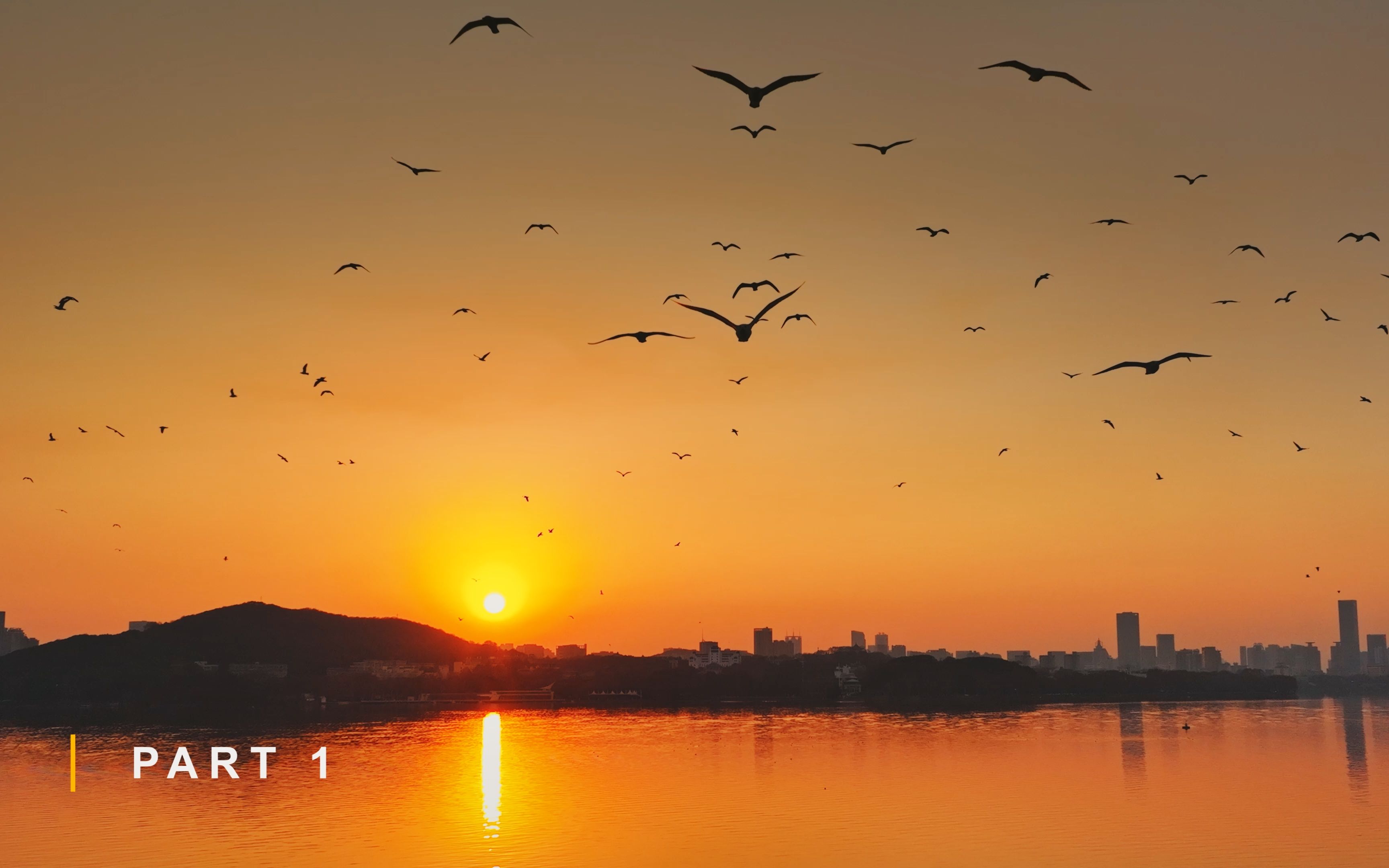 【一起来纠结】航拍东湖上空鸟群,仰望"人"字形变换飞翔,二选一,哪个