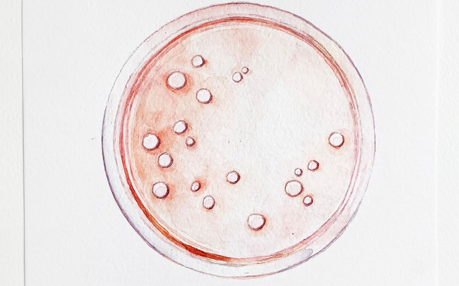 【水彩】粉色培养基绘画过程快放